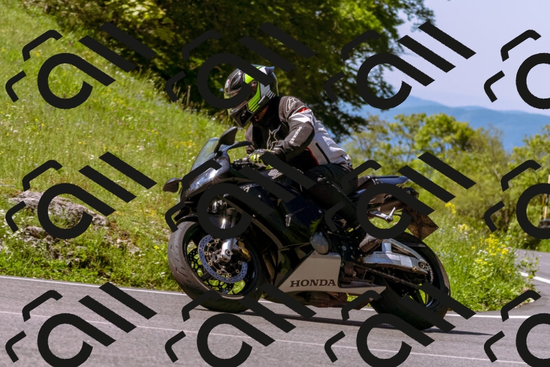 202505250950-_DSC5204_d1_