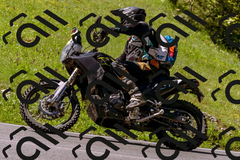 202505250950-_DSC5206_d1_