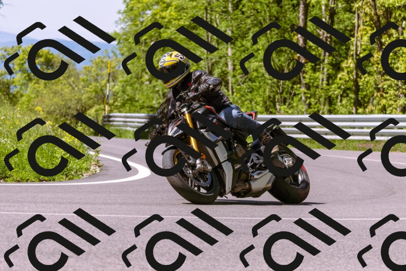 202505250951-_DSC5209_d1_