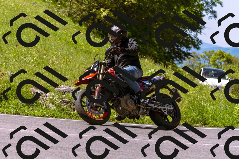 202505250951-_DSC5213_d1_