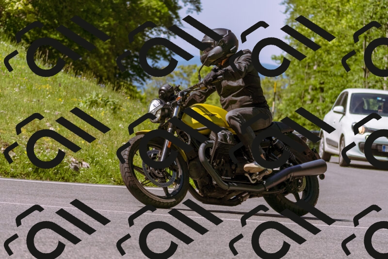 202505250951-_DSC5217_d1_