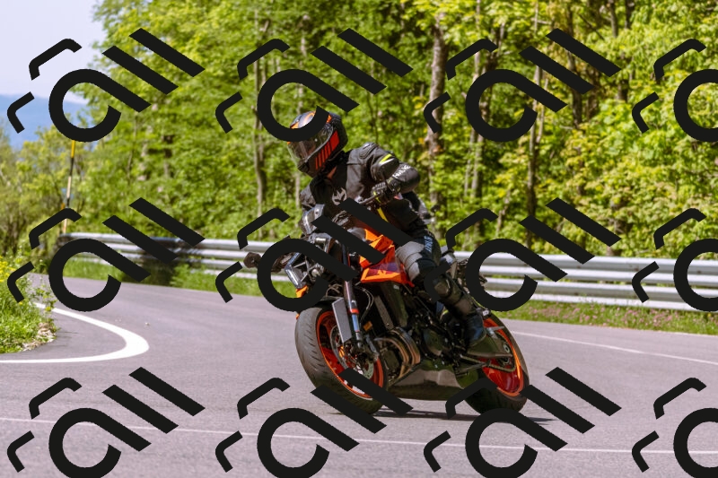 202505250954-_DSC5225_d1_