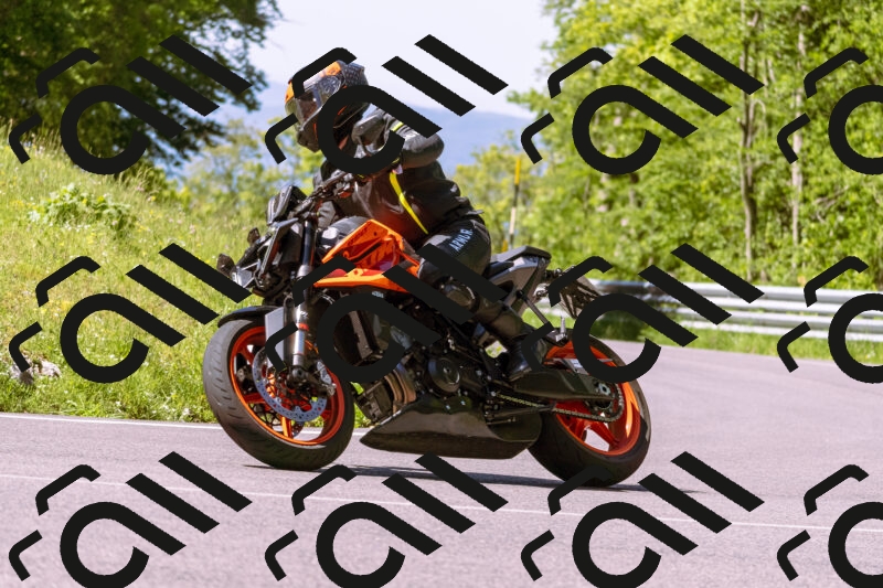 202505250954-_DSC5226_d1_