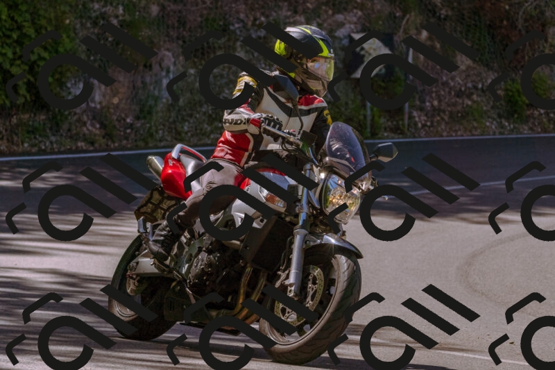 202505250955-_DSC5230_d1_