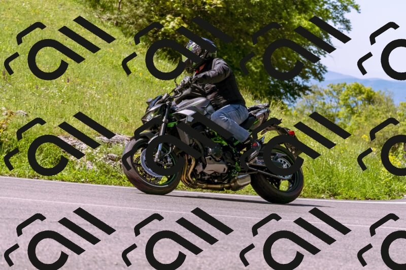 202505250956-_DSC5237_d1_