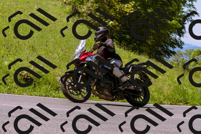 202505250958-_DSC5247_d1_