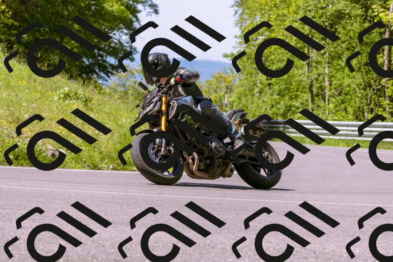 202505251000-_DSC5264_d1_