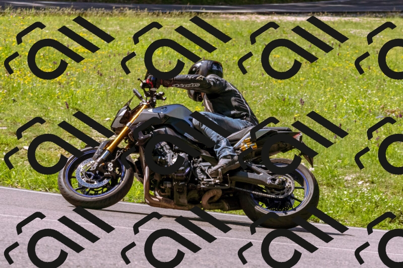 202505251000-_DSC5266_d1_