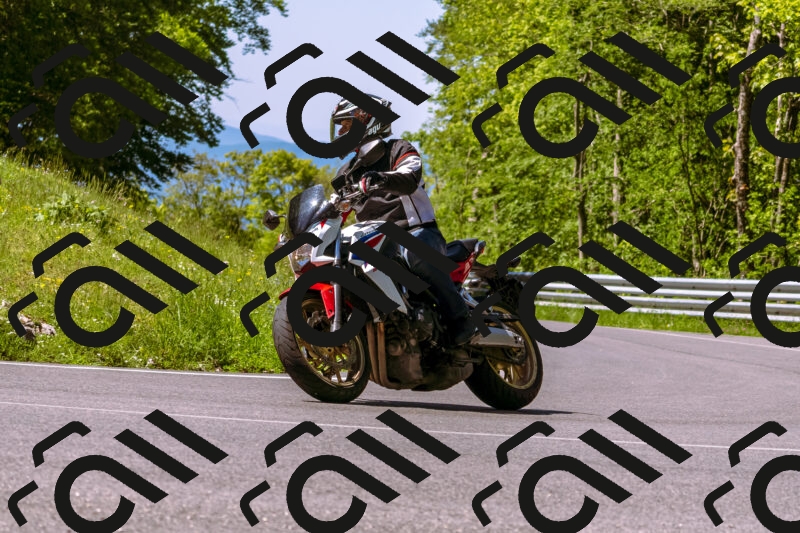 202505251002-_DSC5268_d1_