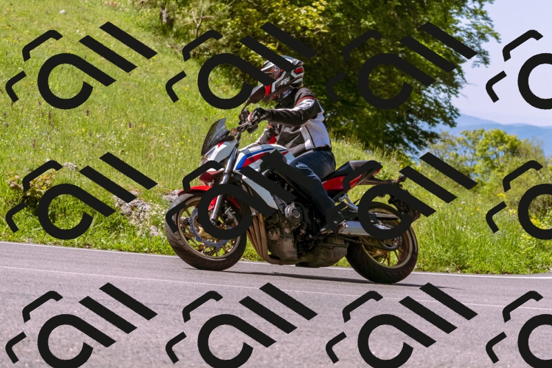 202505251002-_DSC5269_d1_