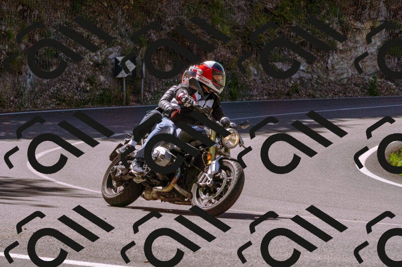 202505251003-_DSC5276_d1_