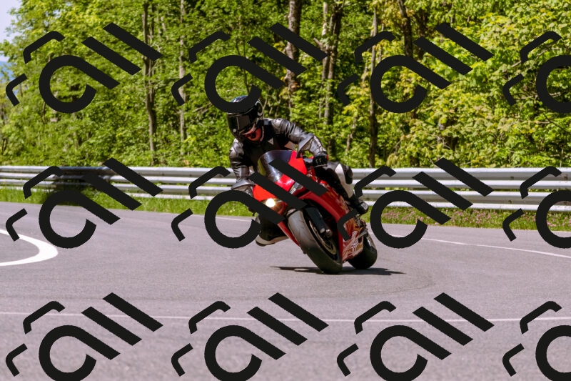 202505251003-_DSC5281_d1_