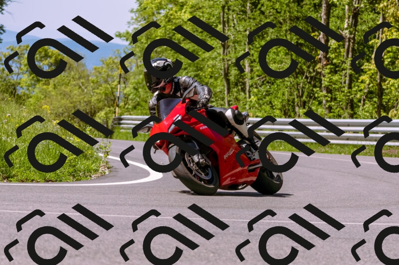 202505251003-_DSC5282_d1_