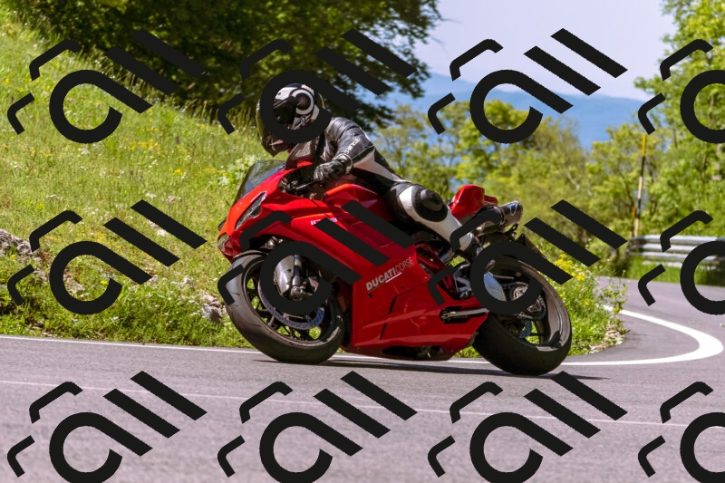 202505251003-_DSC5283_d1_