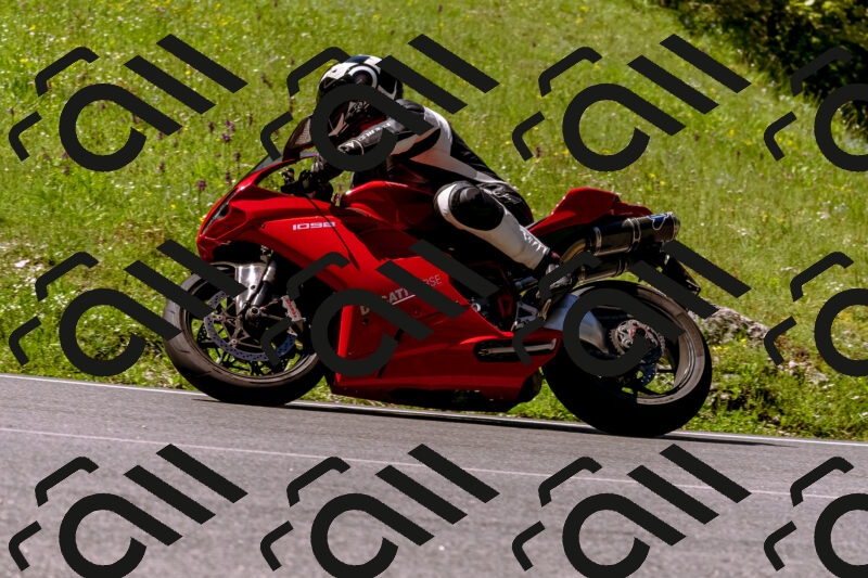 202505251003-_DSC5284_d1_