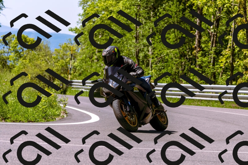 202505251010-_DSC5303_d1_