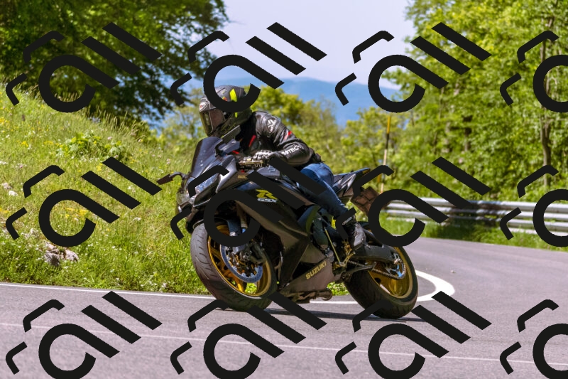 202505251010-_DSC5304_d1_