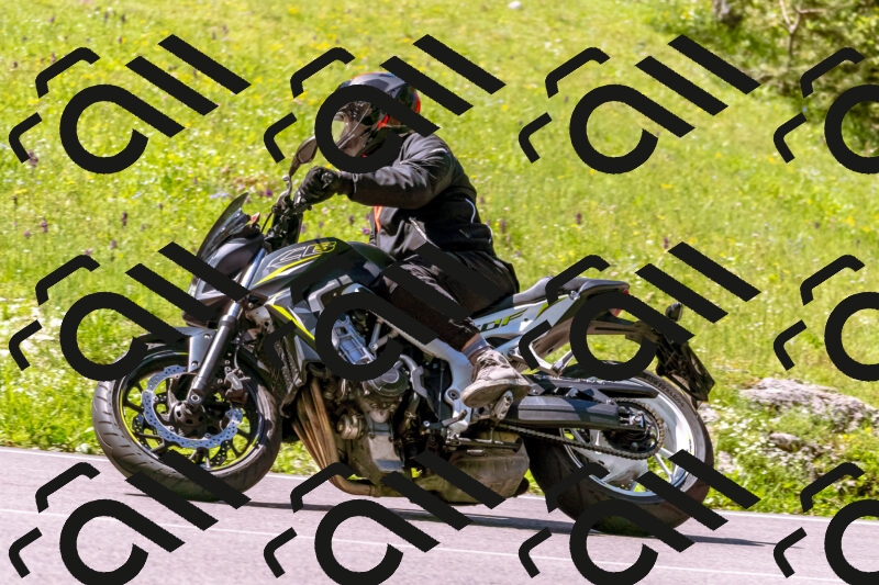 202505251010-_DSC5308_d1_