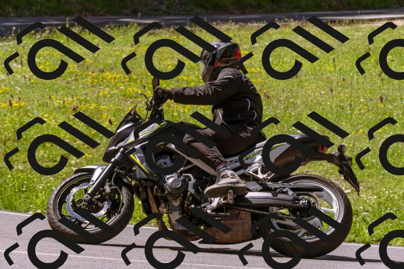 202505251010-_DSC5309_d1_