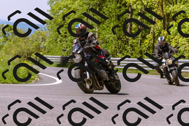 202505251011-_DSC5312_d1_