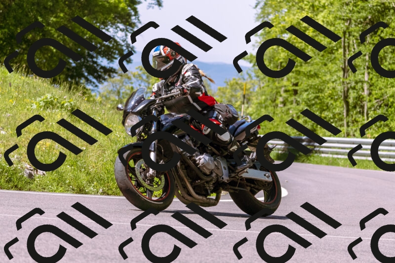 202505251011-_DSC5313_d1_