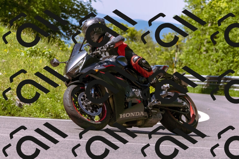 202505251012-_DSC5322_d1_