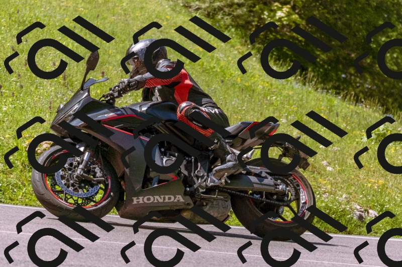 202505251012-_DSC5323_d1_