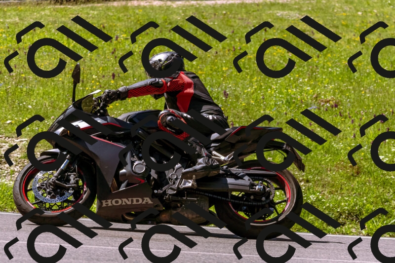 202505251012-_DSC5324_d1_