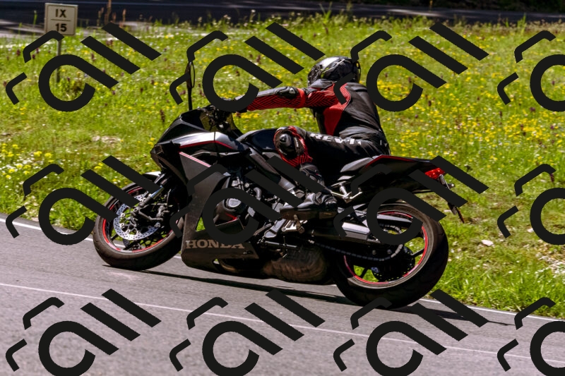 202505251012-_DSC5325_d1_