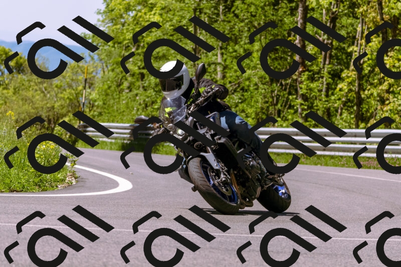 202505251013-_DSC5331_d1_