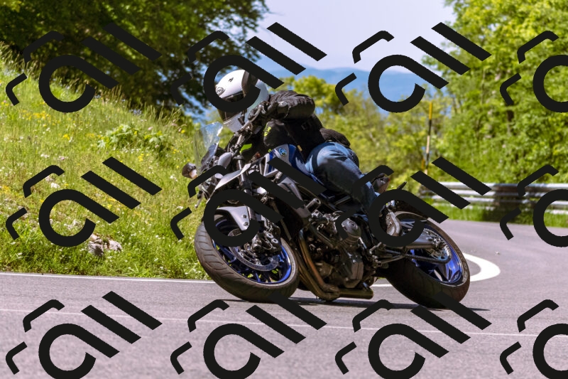 202505251013-_DSC5332_d1_