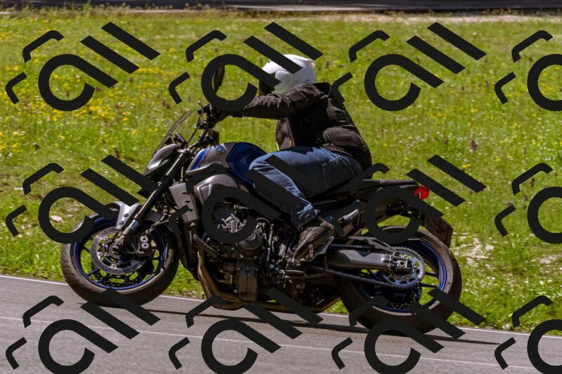 202505251013-_DSC5334_d1_