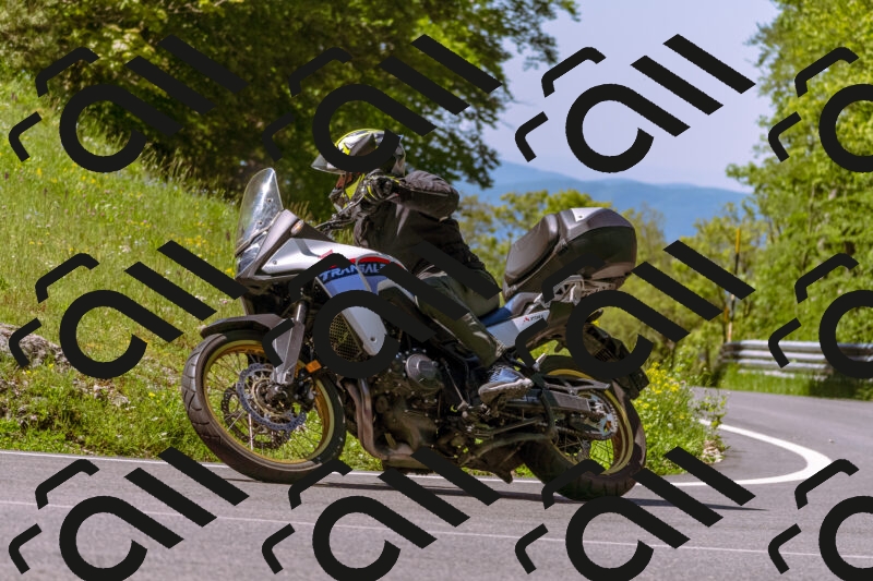 202505251013-_DSC5337_d1_