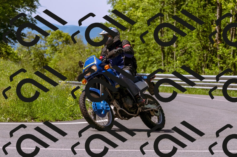 202505251014-_DSC5339_d1_