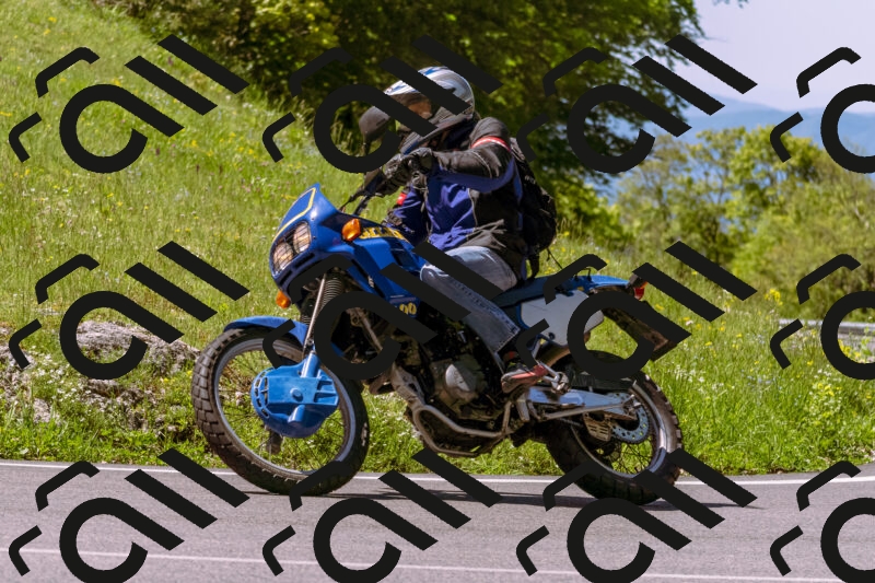 202505251014-_DSC5340_d1_