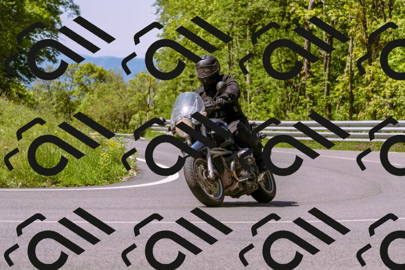 202505251017-_DSC5356_d1_