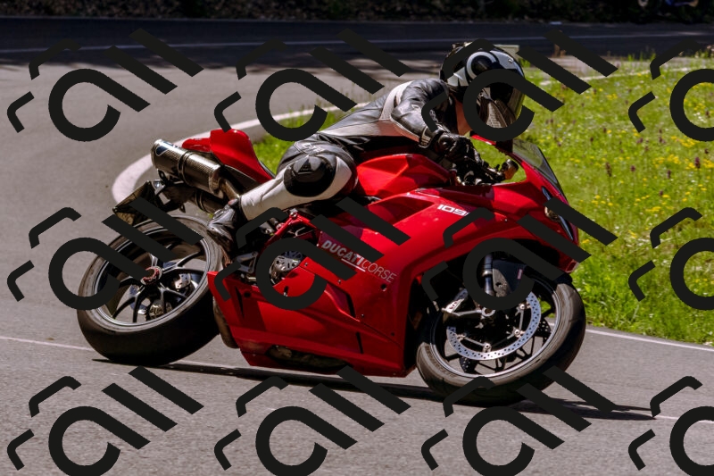 202505251018-_DSC5363_d1_