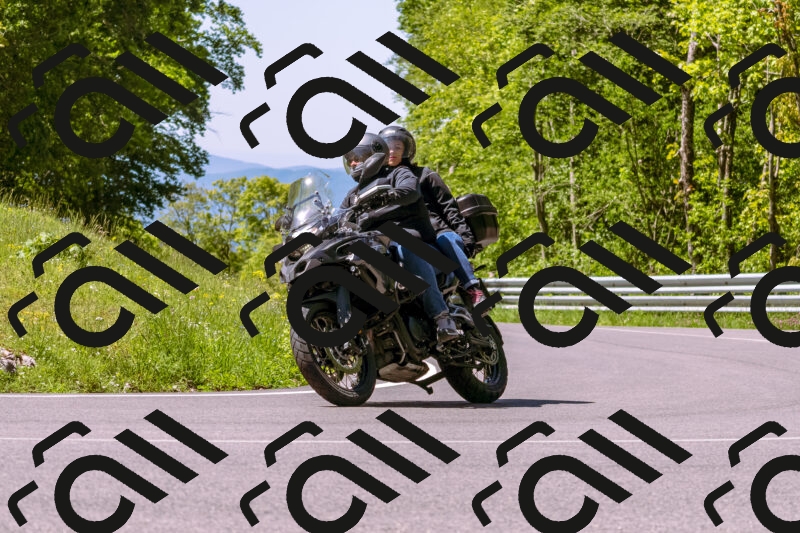 202505251020-_DSC5367_d1_