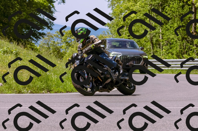 202505251021-_DSC5374_d1_