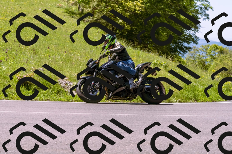 202505251021-_DSC5375_d1_