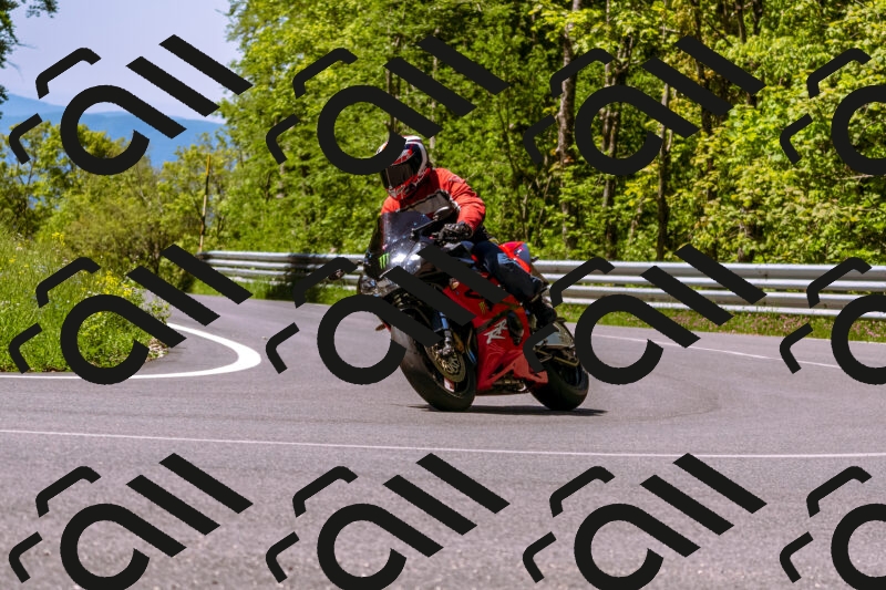 202505251021-_DSC5378_d1_