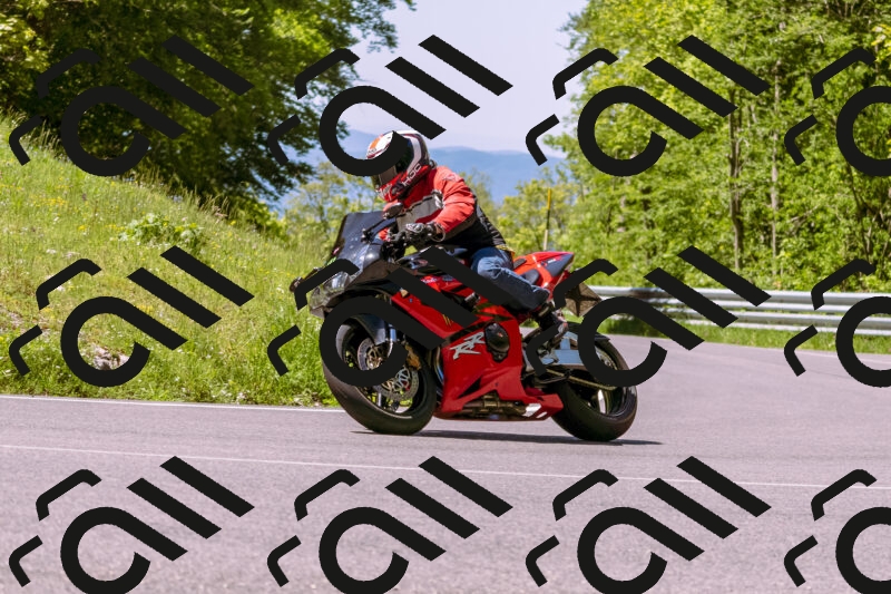 202505251021-_DSC5379_d1_