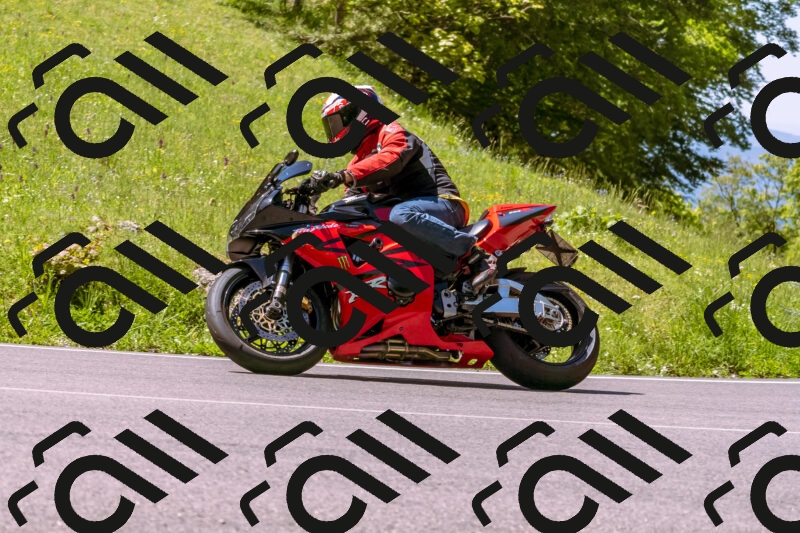 202505251021-_DSC5380_d1_