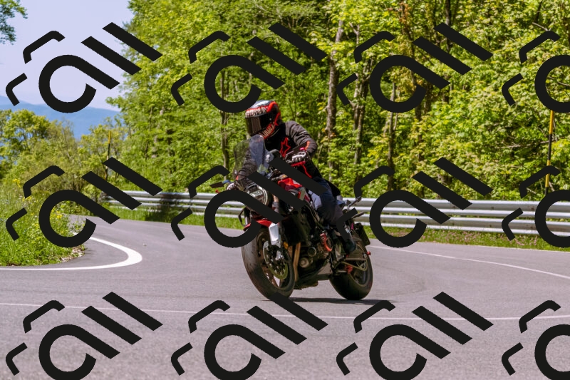 202505251023-_DSC5385_d1_