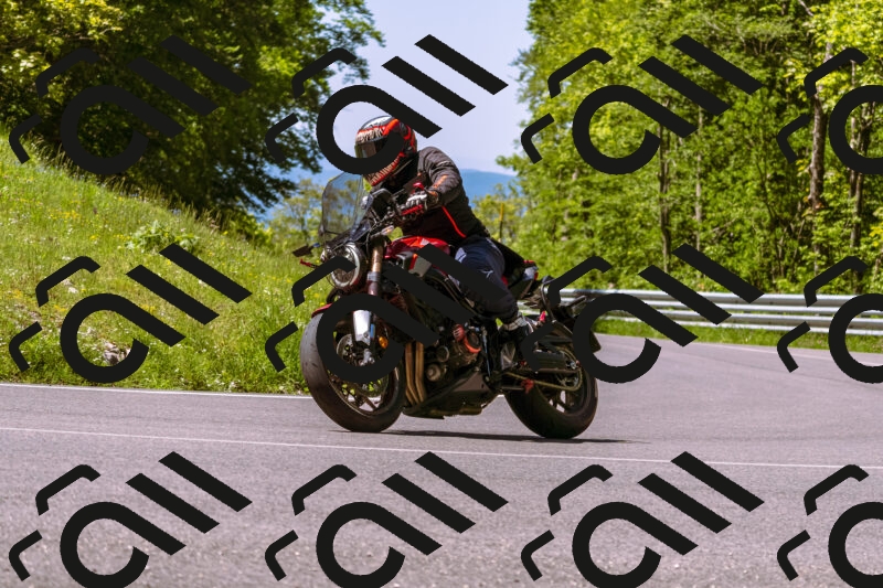 202505251023-_DSC5386_d1_