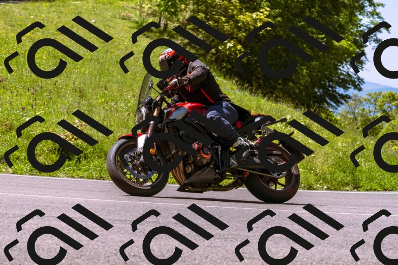 202505251023-_DSC5387_d1_