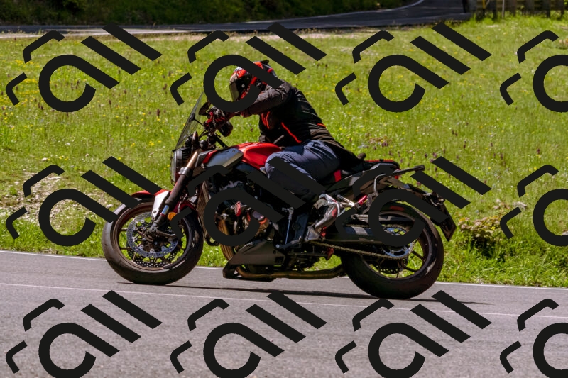 202505251023-_DSC5388_d1_