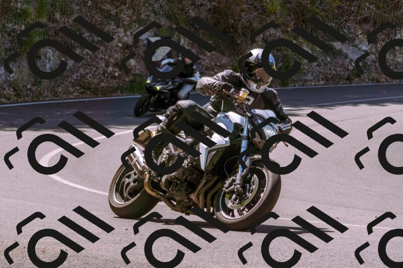 202505251027-_DSC5390_d1_