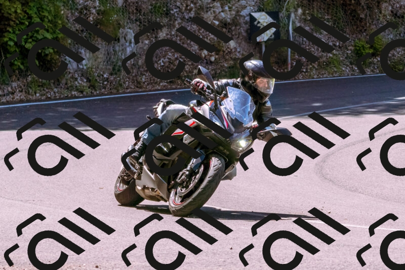 202505251027-_DSC5391_d1_