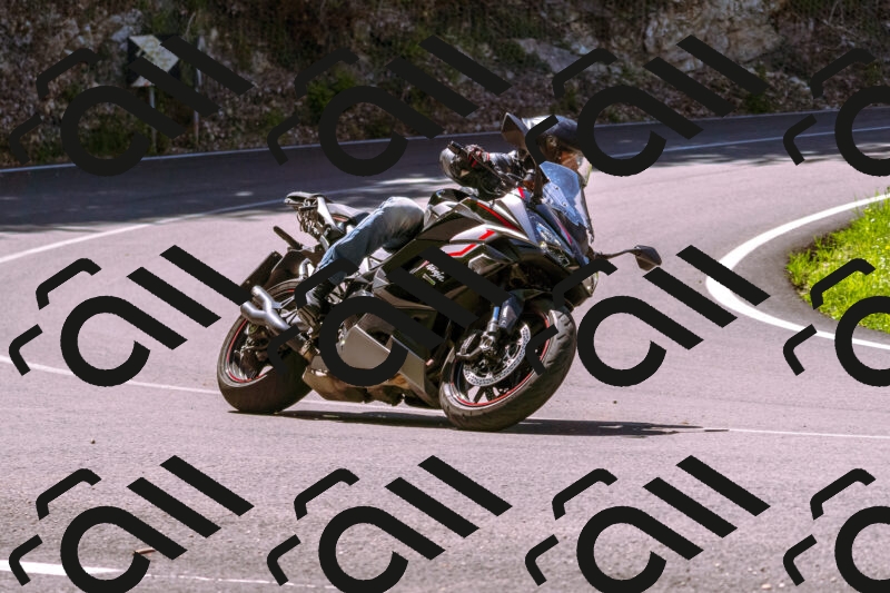 202505251027-_DSC5392_d1_